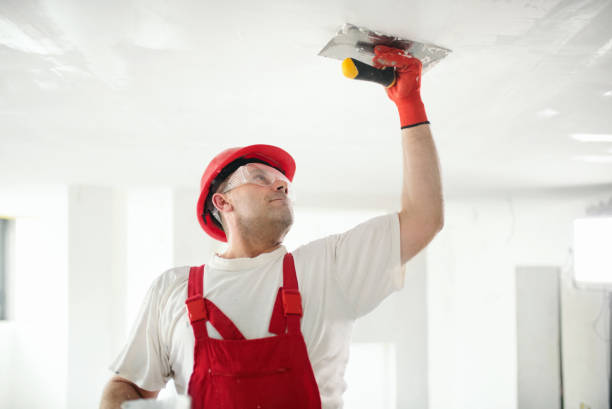 Eco-Friendly and Low-VOC Painting in Rowlett, TX